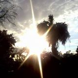Profile picture of Tiffany Mattson
