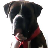 Profile picture of Javier Ramirez