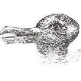 Profile picture of Lars Hektoen